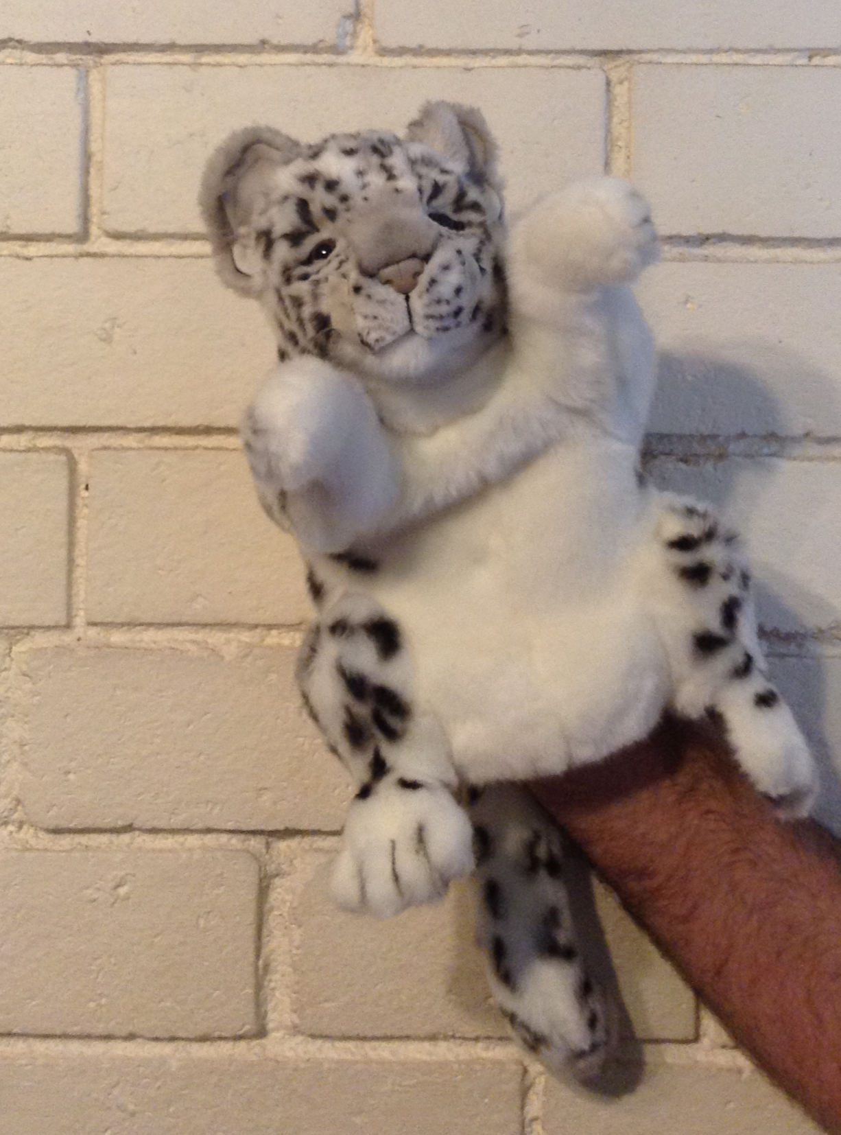 Hansa Hand Puppet - Snow Leopard
