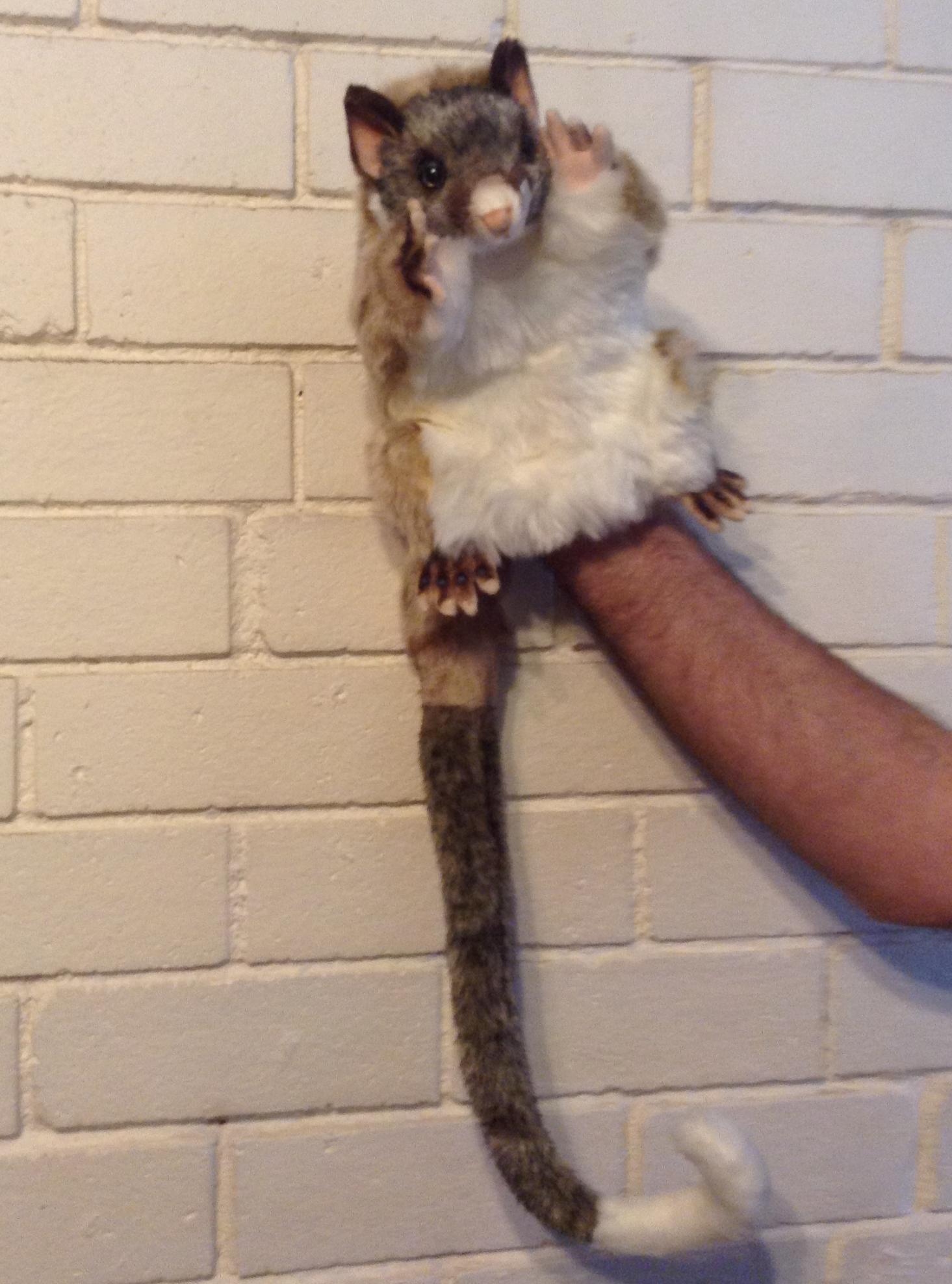 Hansa Hand Puppet - Ring-tail Possum
