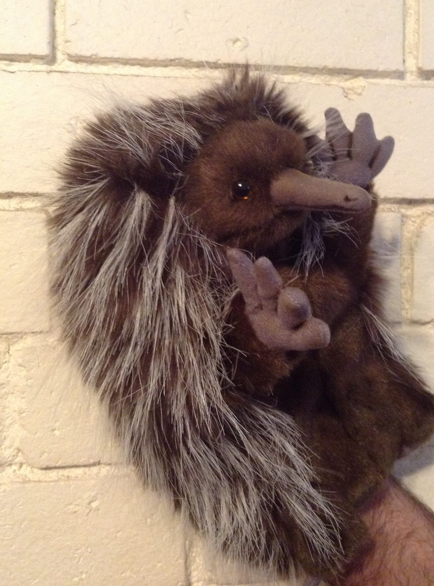 Hansa Hand Puppet - Echidna